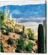 Arizona Desert Heights Canvas Print