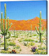 Arizona Desert Canvas Print