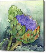 Artichoke In Bloom Canvas Print