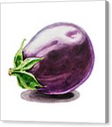 Artz Vitamins An Eggplant Canvas Print