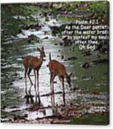 As The Deer Pants For Water Canvas Print