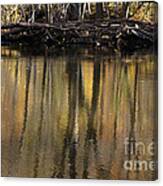 As Through A Leafless Landscape Flows A River Canvas Print