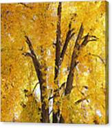 Ash's Fall Leaves Are Falling Canvas Print