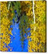 Aspen Reflection Canvas Print