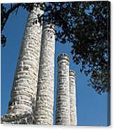 Aspirations. Baylor Female College Site Columns 1846-1886. Canvas Print