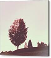 At The Bay Series #trees #landscape Canvas Print