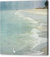 At The Beach - Captiva Island Canvas Print