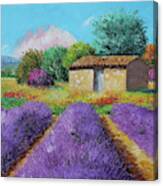 At The End Of The Lavender Field Canvas Print