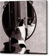 At The Mirror Canvas Print