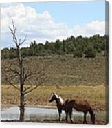 At The Watering Hole Canvas Print