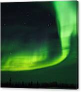 Aurora Light, Wapusk National Park Canvas Print