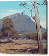 Australian Summer Landscape Canvas Print