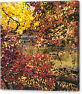 Autumn At The Park Canvas Print