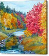 Autumn Blaze With Birch Trees Canvas Print