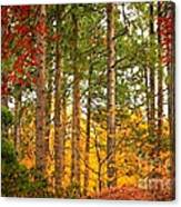 Autumn Canvas Canvas Print