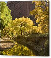 Autumn Canyon De Chelly Canvas Print