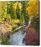 Autumn Color Along Spearfish Creek Canvas Print