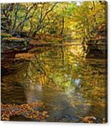 Autumn Colors At Skillet Creek Canvas Print
