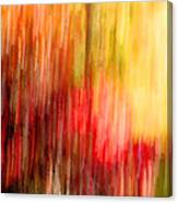 Autumn Colors In Abstract Canvas Print