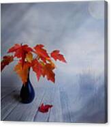 Autumn Colors Canvas Print