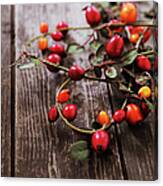 Autumn Decoration With Rose Hips Canvas Print