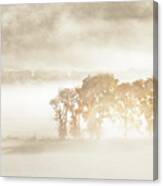 Autumn Dreams Canvas Print