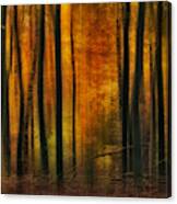 Autumn Falls Canvas Print