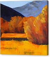 Autumn Field Canvas Print