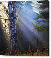 Autumn Fog With Sun Rays Canvas Print