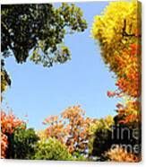 Autumn Forest Colors Canvas Print