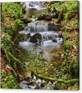 Autumn Forest Stream V2 Canvas Print