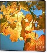 Autumn Found Canvas Print