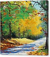 Autumn In Mt Wilson Canvas Print