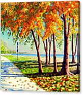Autumn In Ontario Canvas Print