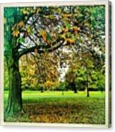 #autumn In The Park. #dublin Canvas Print