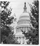 Autumn In The Us Capitol Bw Canvas Print