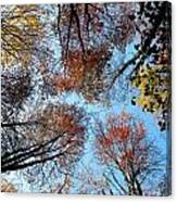 Autumn Leaves 2011 Season Canvas Print