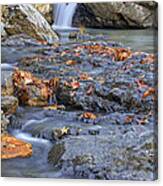 Autumn Leaves At Little Missouri Falls - Arkansas - Waterfall Canvas Print