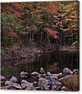 Autumn Leaves Reflecting In The Stream Canvas Print