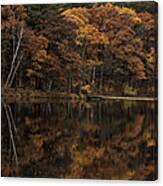 Autumn On The Point Canvas Print