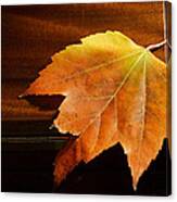 Autumn Piano 15 Canvas Print