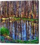 Autumn Pond Reflections Canvas Print