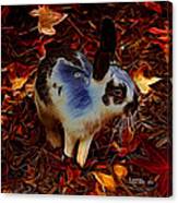 Autumn Rabbit 5010 - James Ahn Canvas Print