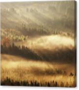 Autumn Rays Canvas Print