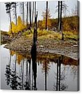 Autumn Reflection Vertical Canvas Print