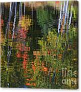 Autumn Reflections Canvas Print