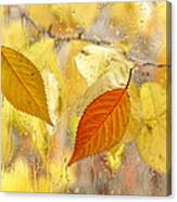 Autumn Romance Canvas Print