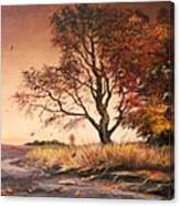 Autumn Simphony In France Canvas Print