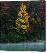 Autumn Splendor Canvas Print