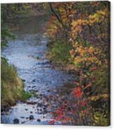 Autumn Stream Canvas Print